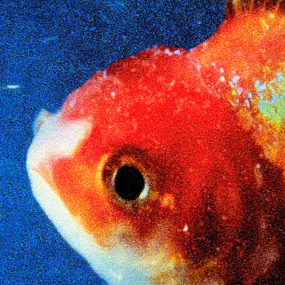 BigFish