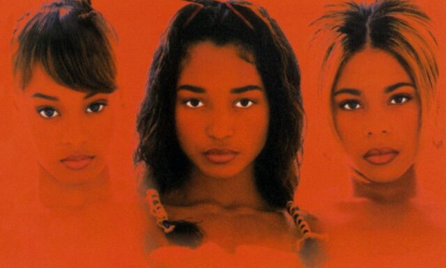 TLC ラグマット crazy sexy cool 限定品 TLC ラグマット crazy sexy